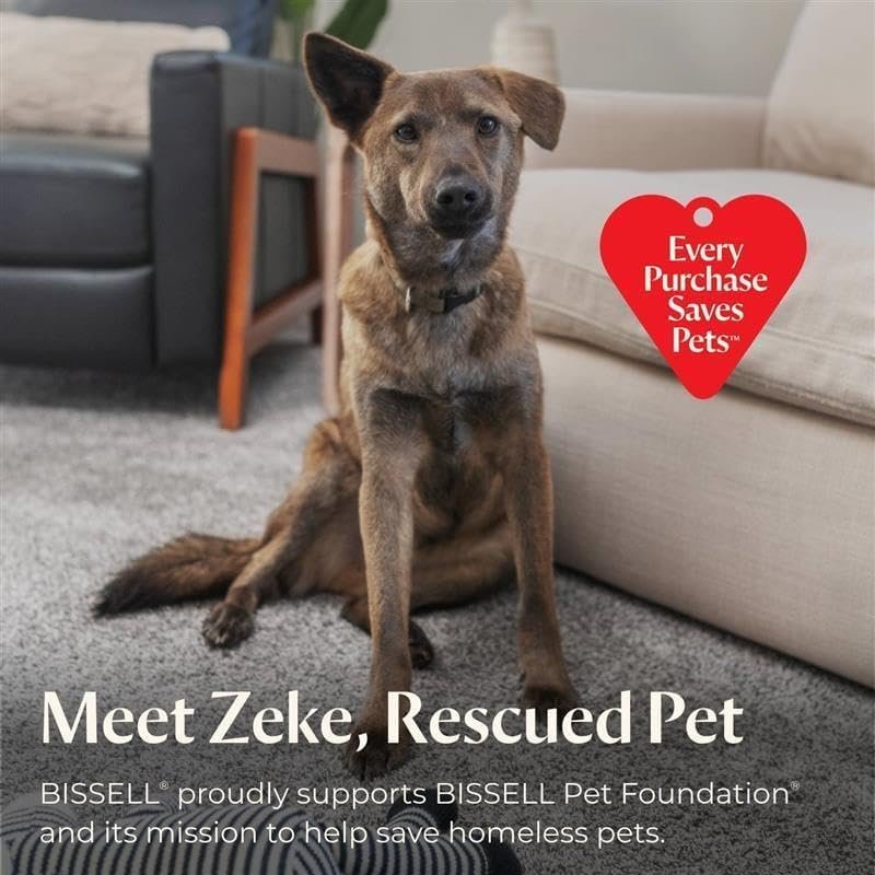 BISSELL® Steam Shot™ OmniReach